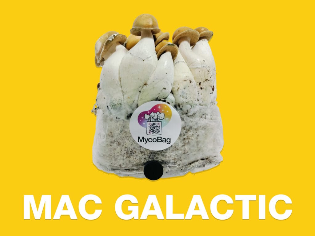 Mac Galactic