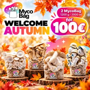 Welcome Autumn offer: 2 MycoBag mushroom grow kits for €100