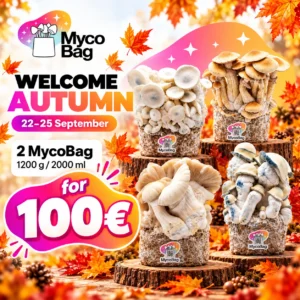 Bienvenue à l'automne : 2 MycoBag pour 100 €