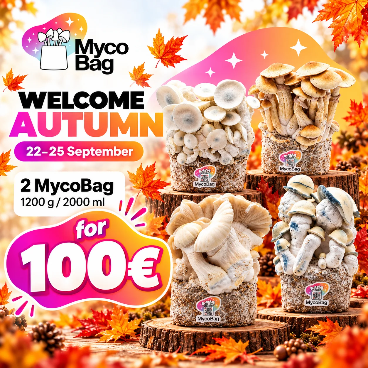 Bienvenue à l'automne : 2 MycoBag pour 100 €