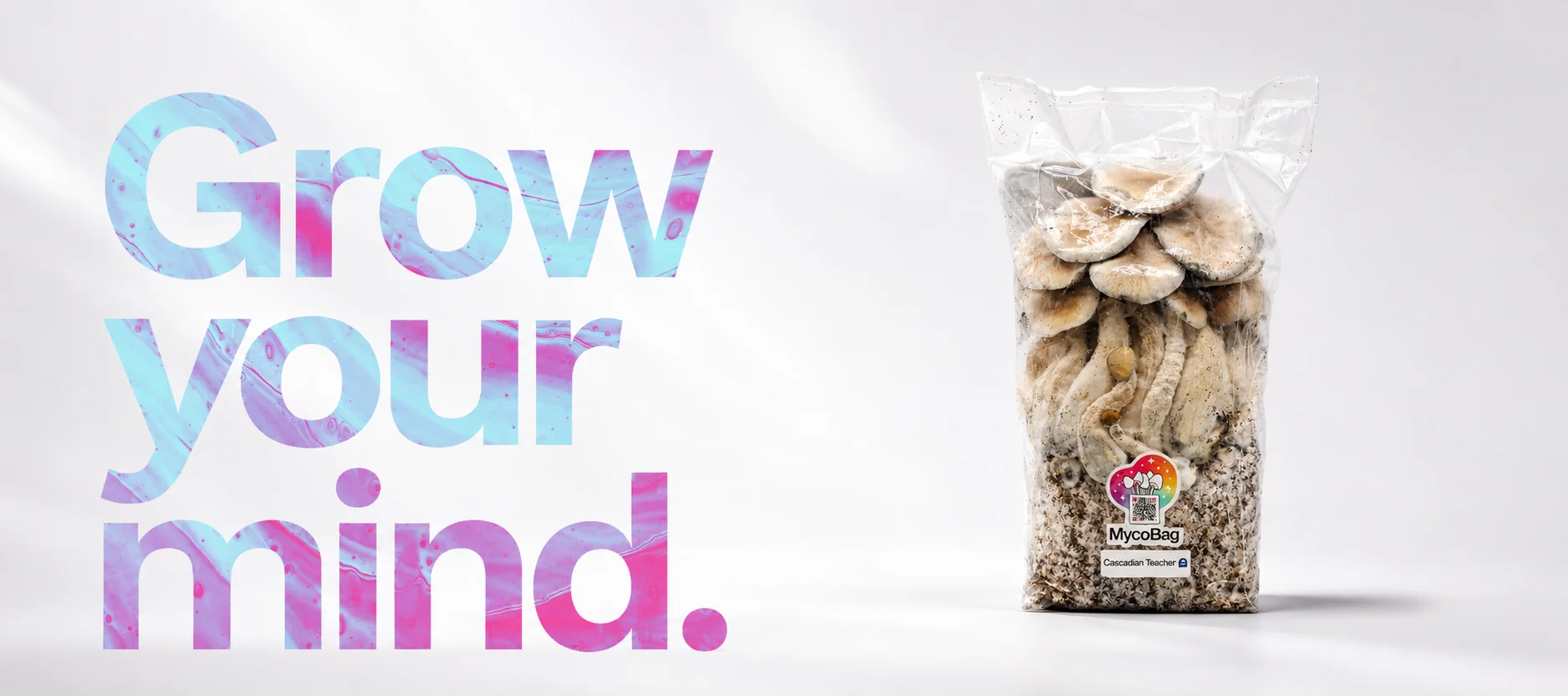 banner-home-mycobag banner-home-mycobag