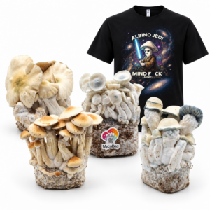 Mycological study kit with four psilocybe cubensis MycoBag grow kits and the Albino Jedi Mind Fuck T-shirt