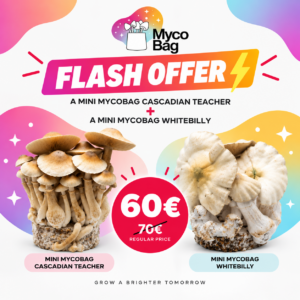 Flash Sale: MiniMycoBag Cascadian + MiniMycoBag Whitebilly