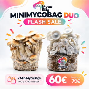 MiniMycoBag duo: escolha 2 ao preço de 60 €