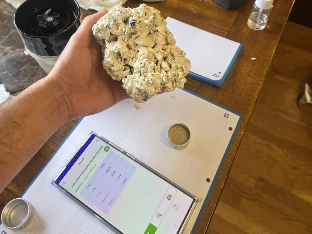 Amostra de cogumelo durante a análise por FT-NIR com a tecnologia Valenveras